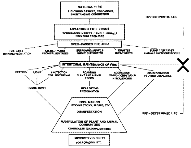 Evoltion of Fire Management